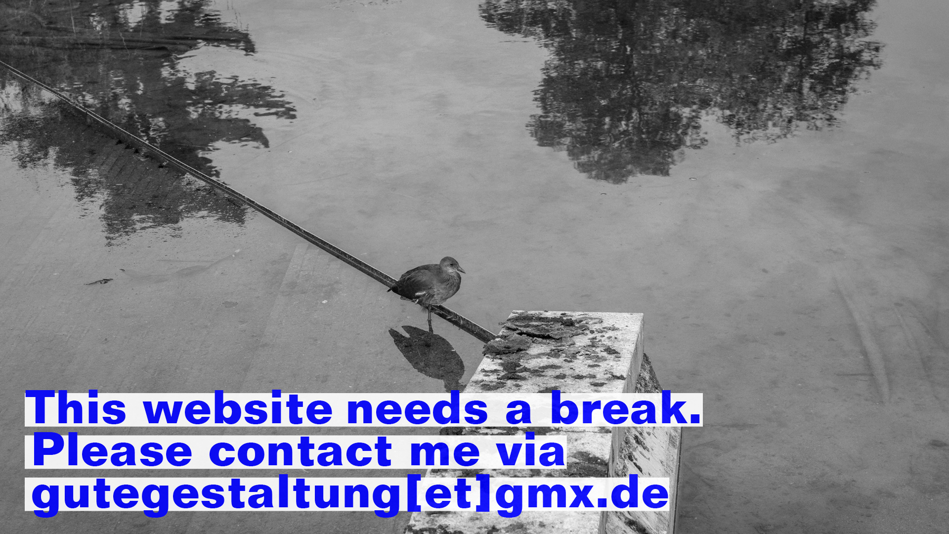 2506_Website 15